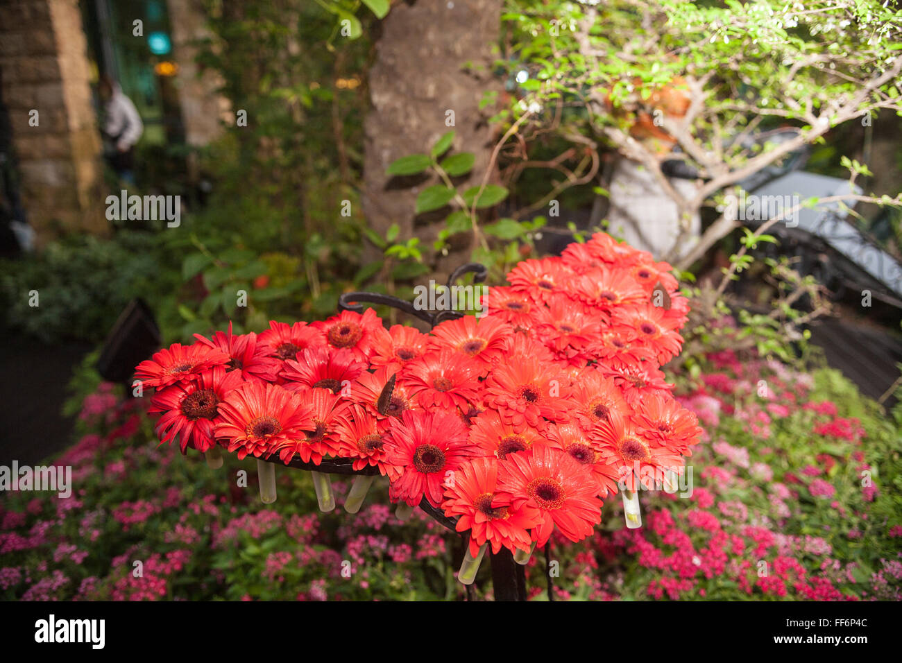 Les papillons,Papillon,sur,design,papillon,en,détente,apaisante,bâtiment,espace,la borne,jardin de papillons.L'aéroport de Changi à Singapour,Asie,Asie,, Banque D'Images