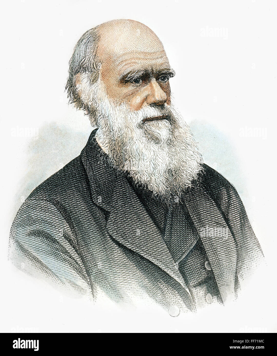 CHARLES DARWIN (1809-1882). /NEnglish naturaliste. Gravure couleur, 1871. Banque D'Images