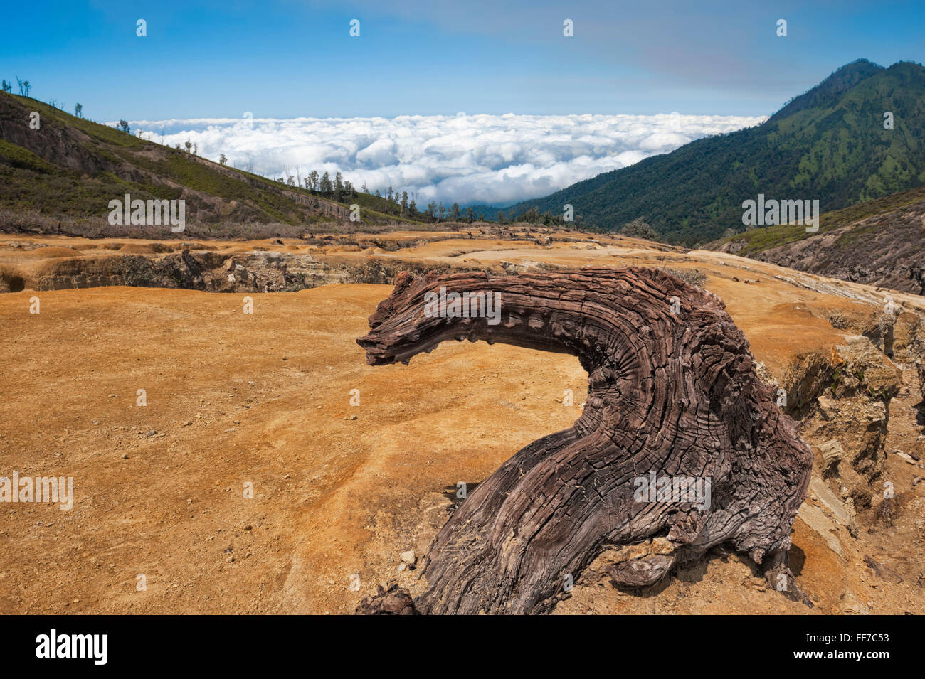 Kawah Ijen volcano ridge (Ijen crater), Banyuwangi, l'Est de Java, Indonésie, Asie Banque D'Images