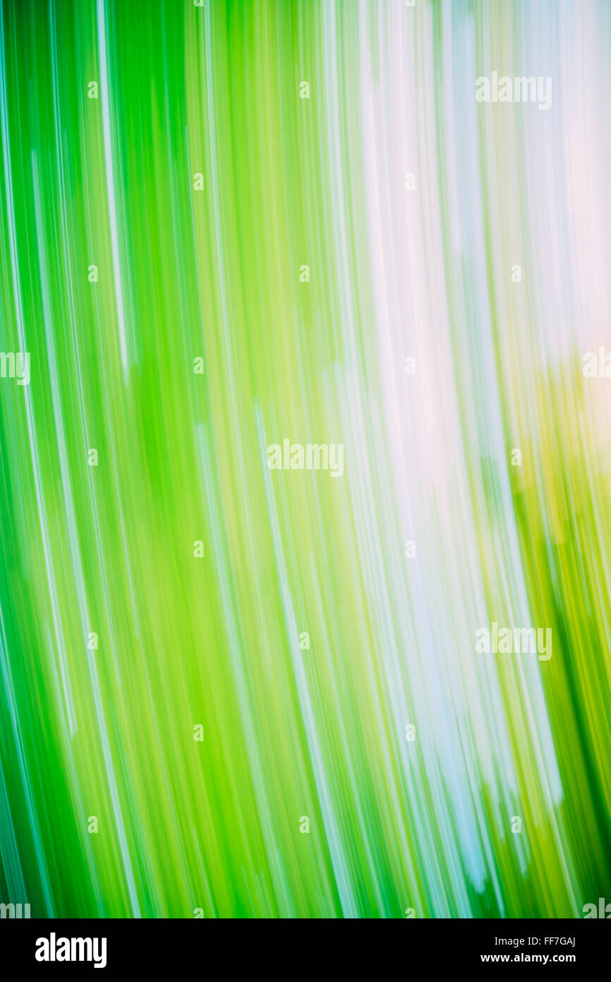 Light Abstract Natural Green Background Motions. Banque D'Images