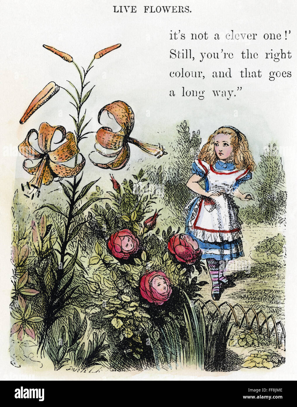 CARROLL : À la vitre. /NAlice dans le jardin de fleurs. Illustration par Sir John Tenniel à partir de la première édition de "Through the Looking Glass,' 1872. Banque D'Images