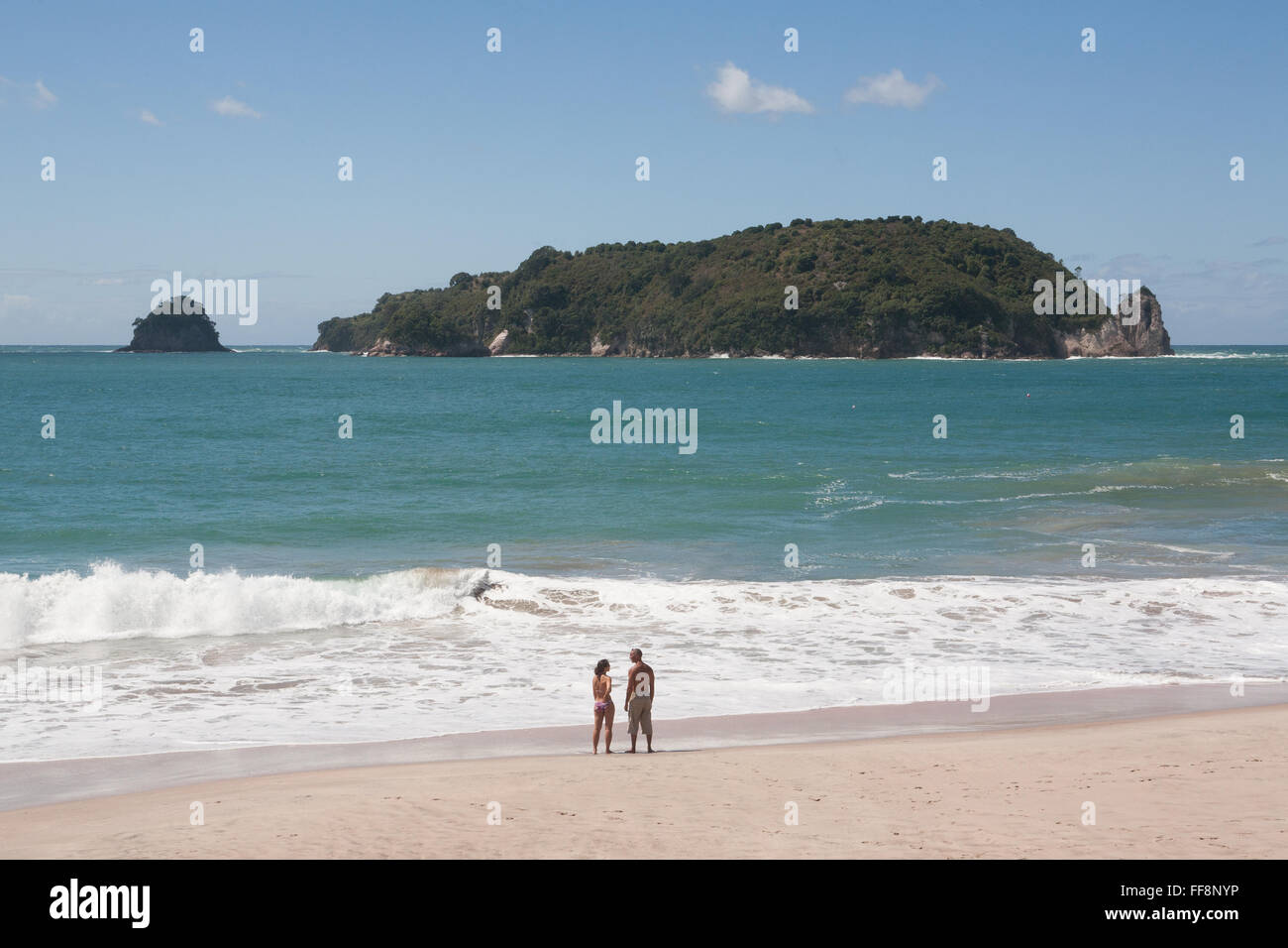 Hahei Beach, péninsule de Coromandel, île du Nord, Nouvelle-Zélande, Pacifique. Banque D'Images