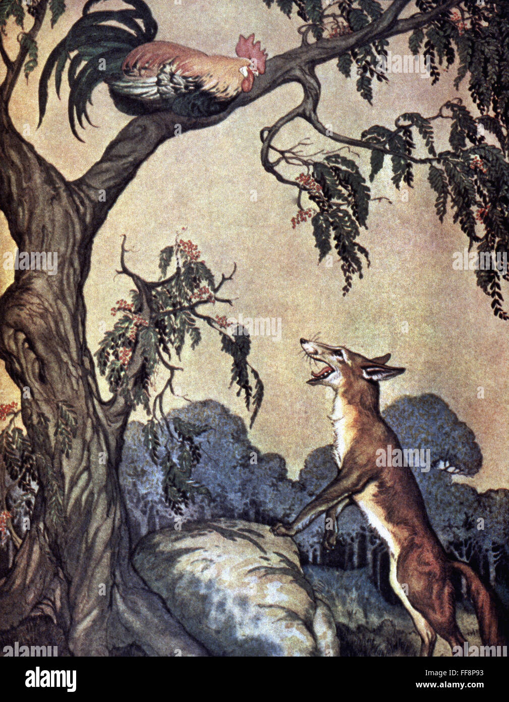 Le RENARD ET LE COQ de la fable nAesop Le Renard et le coq l illustration 1919 par Milo Winter pour Aesop s Fables Photo Stock Alamy