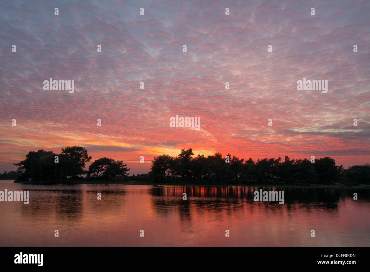 Coucher de soleil aux couleurs vives avec ciel de maquereau et réflexions à Hatchet Pond près de Beaulieu dans la New Forest, Hampshire, Angleterre, Royaume-Uni Banque D'Images