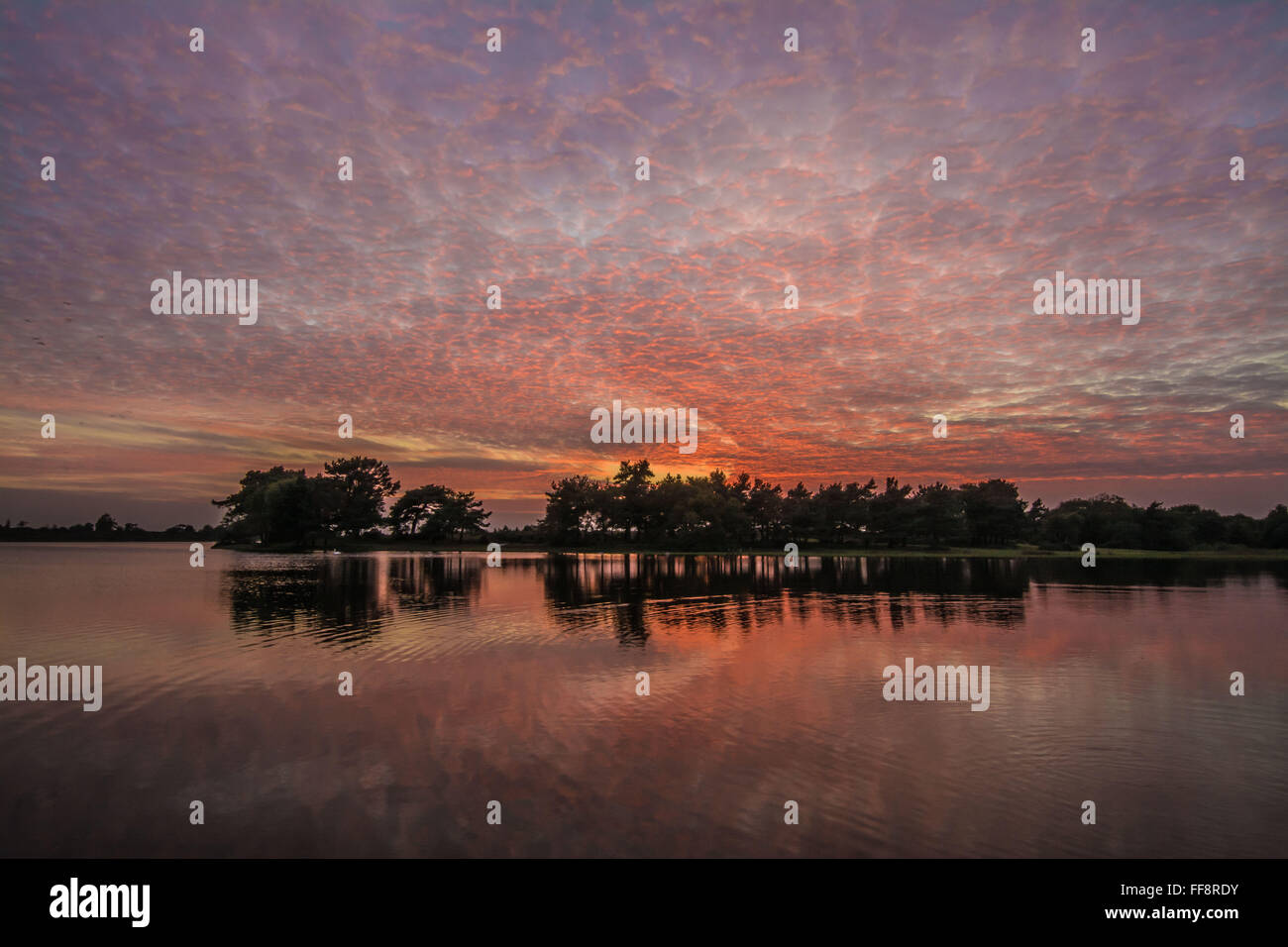 Coucher de soleil aux couleurs vives avec ciel de maquereau et réflexions à Hatchet Pond près de Beaulieu dans la New Forest, Hampshire, Angleterre, Royaume-Uni Banque D'Images