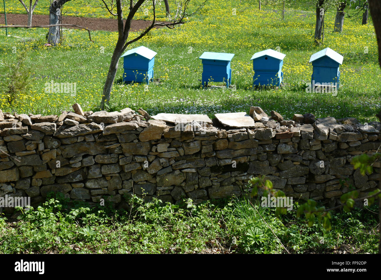 Jardin de printemps avec des ruches. Banque D'Images