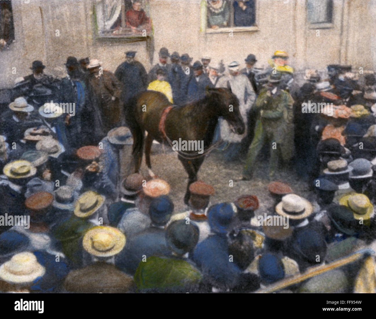 CLEVER HANS, 1904. /NClever Hans, le cheval allemand 'réflexion', 'reconnaître une personne à partir de sa photographie' en cours d'essai à Berlin, en Allemagne, en 1904. Huile à une photographie. Banque D'Images