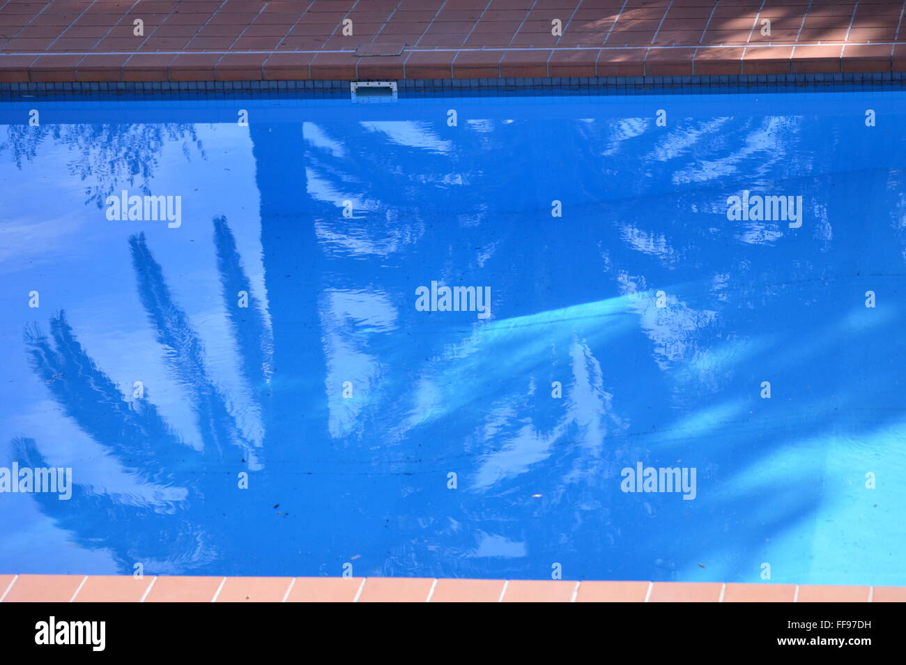 Réflexions dans une piscine, Banque D'Images