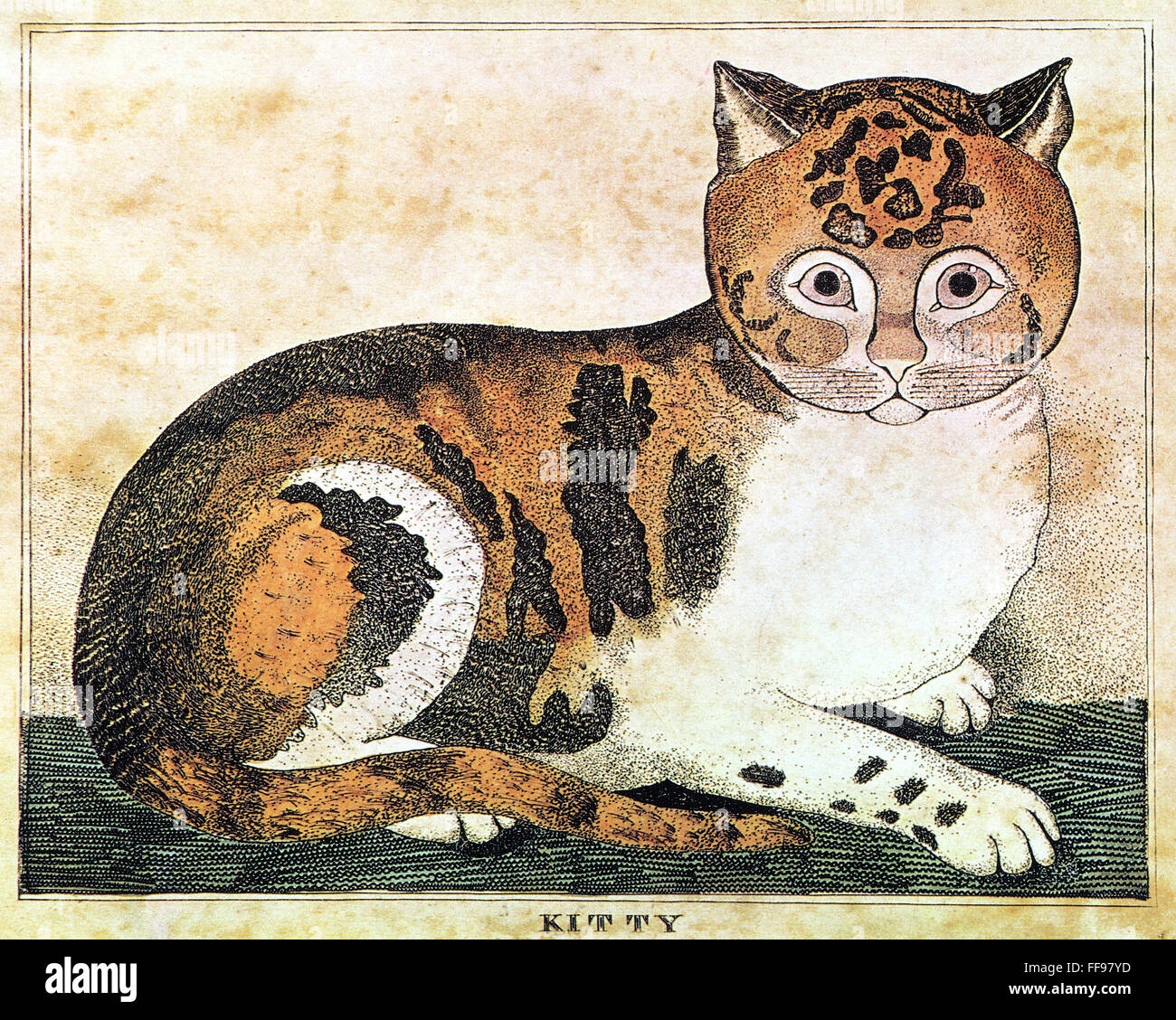FOLK ART : CAT./n'kitty." gravure sur cuivre, c1822, par George White, Vermont. Banque D'Images