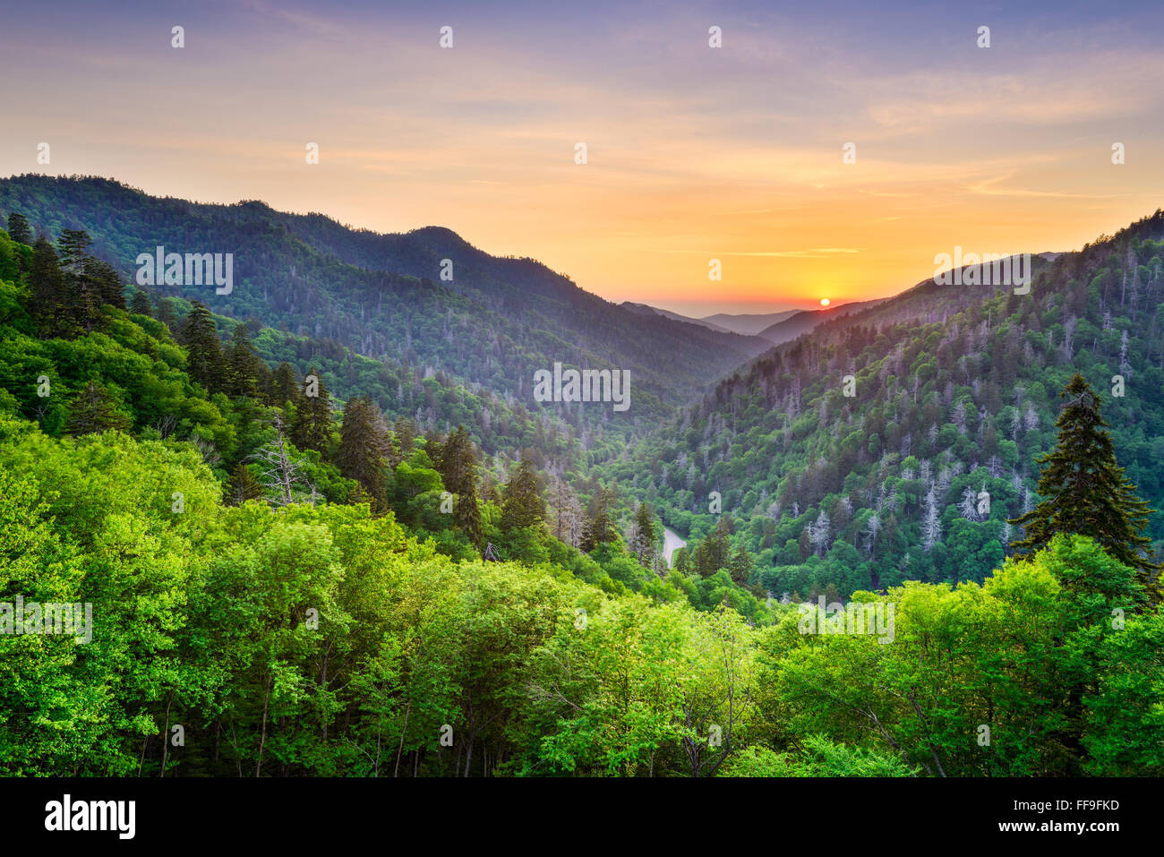 Newfound Gap dans les Smoky Mountains, North Carolina, USA. Banque D'Images