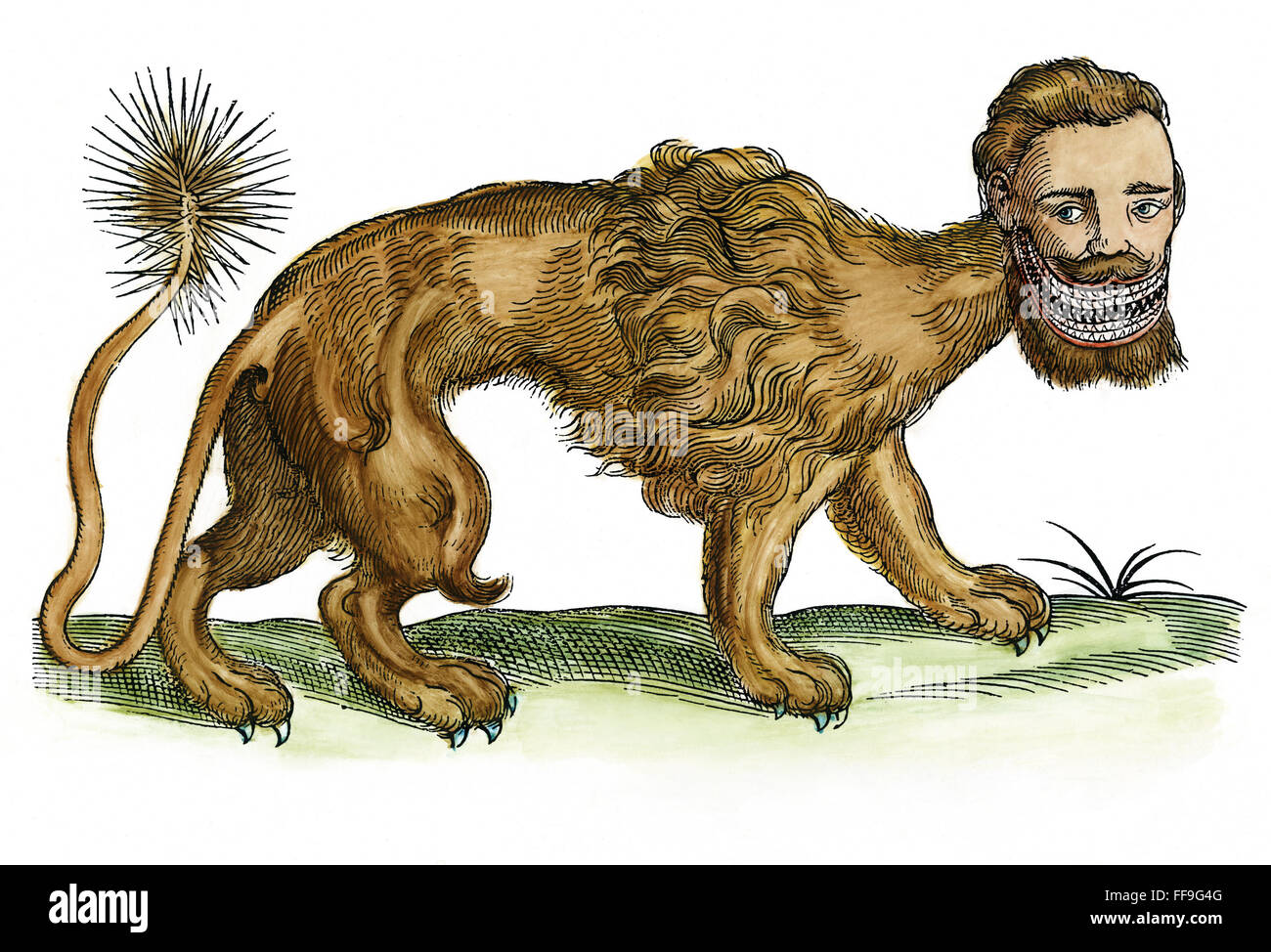 MANTICORE MYTHIQUE. NWoodcut Edward Topsell /de 'l'histoire de l'Four-Footed bêtes, Londres, 1607. Banque D'Images