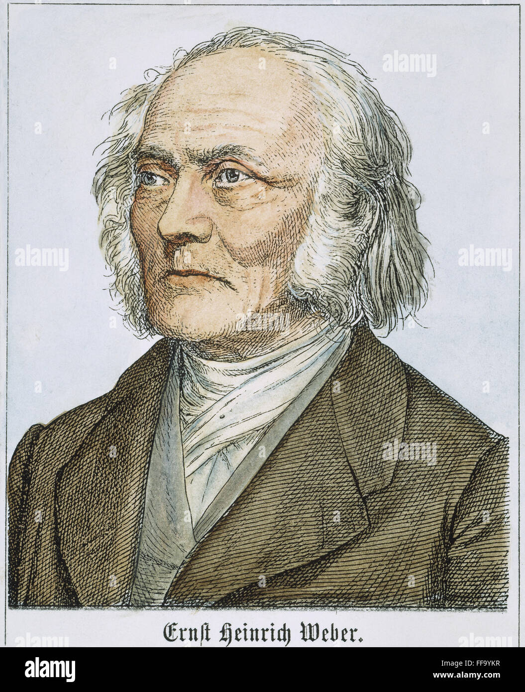 ERNST HEINRICH WEBER /n(1795-1878). Physiologiste et anatomiste allemand : gravure en ligne, l'allemand, 19e siècle. Banque D'Images