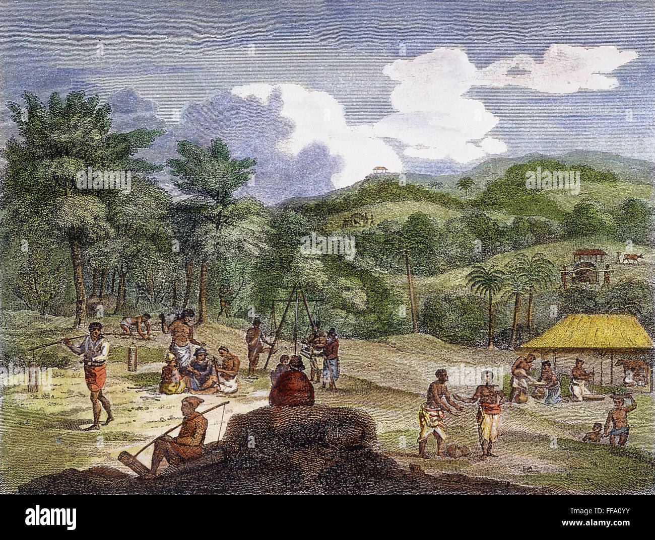 PLANTATION DE CANNELLE, 1804. /NA cannelle plantation près de Colombo, Ceylan (aujourd'hui Sri Lanka). Gravure sur cuivre, anglais, 1804. Banque D'Images