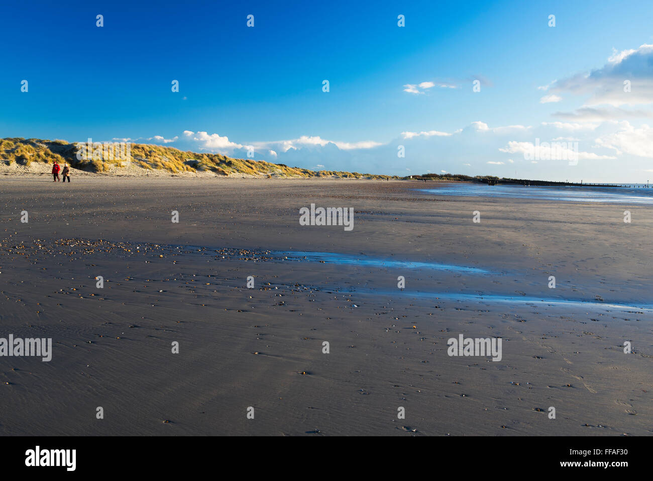 Marée basse à West Wittering beach sur un hiver ensoleillé Banque D'Images