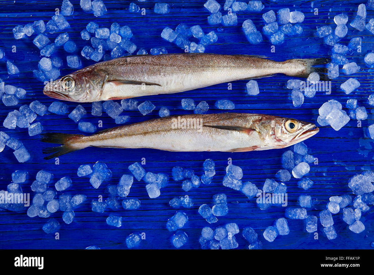 Poisson merlu sur la glace Vue de côté et tableau bleu Banque D'Images