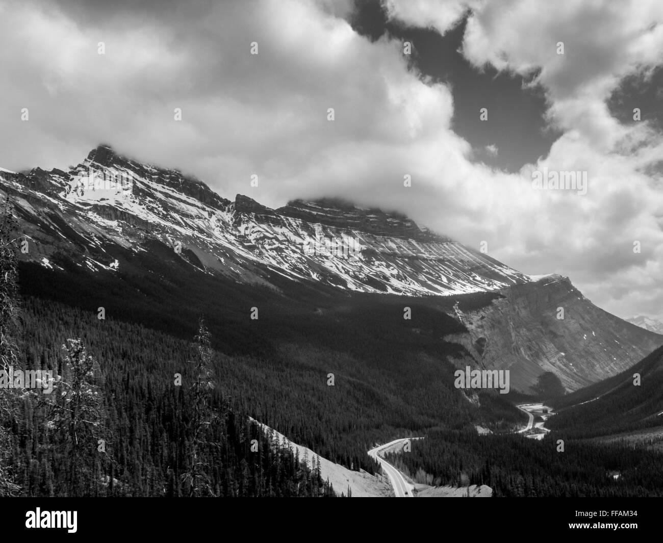 Avis de glace Columbia à partir de la promenade des Glaciers dans le parc national Jasper, Alberta, Canada Banque D'Images