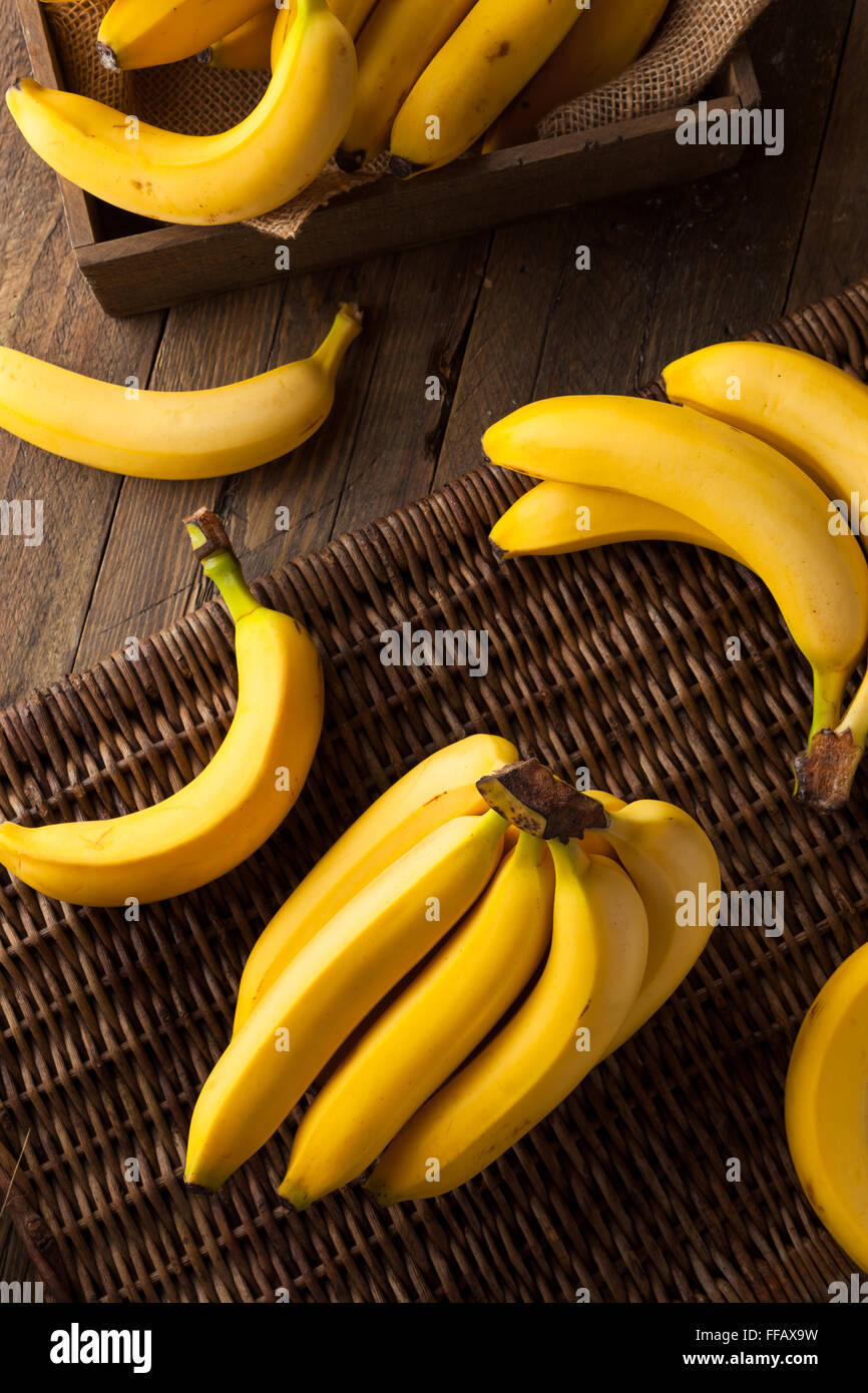 Régime de bananes biologiques crus prêt à manger Banque D'Images