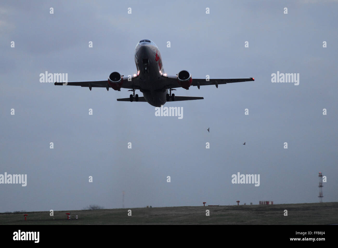 Des oiseaux volent près d'un Jet2 avion décollant de l'aéroport de Leeds Bradford. Photo : Scott Bairstow/Alamy Banque D'Images