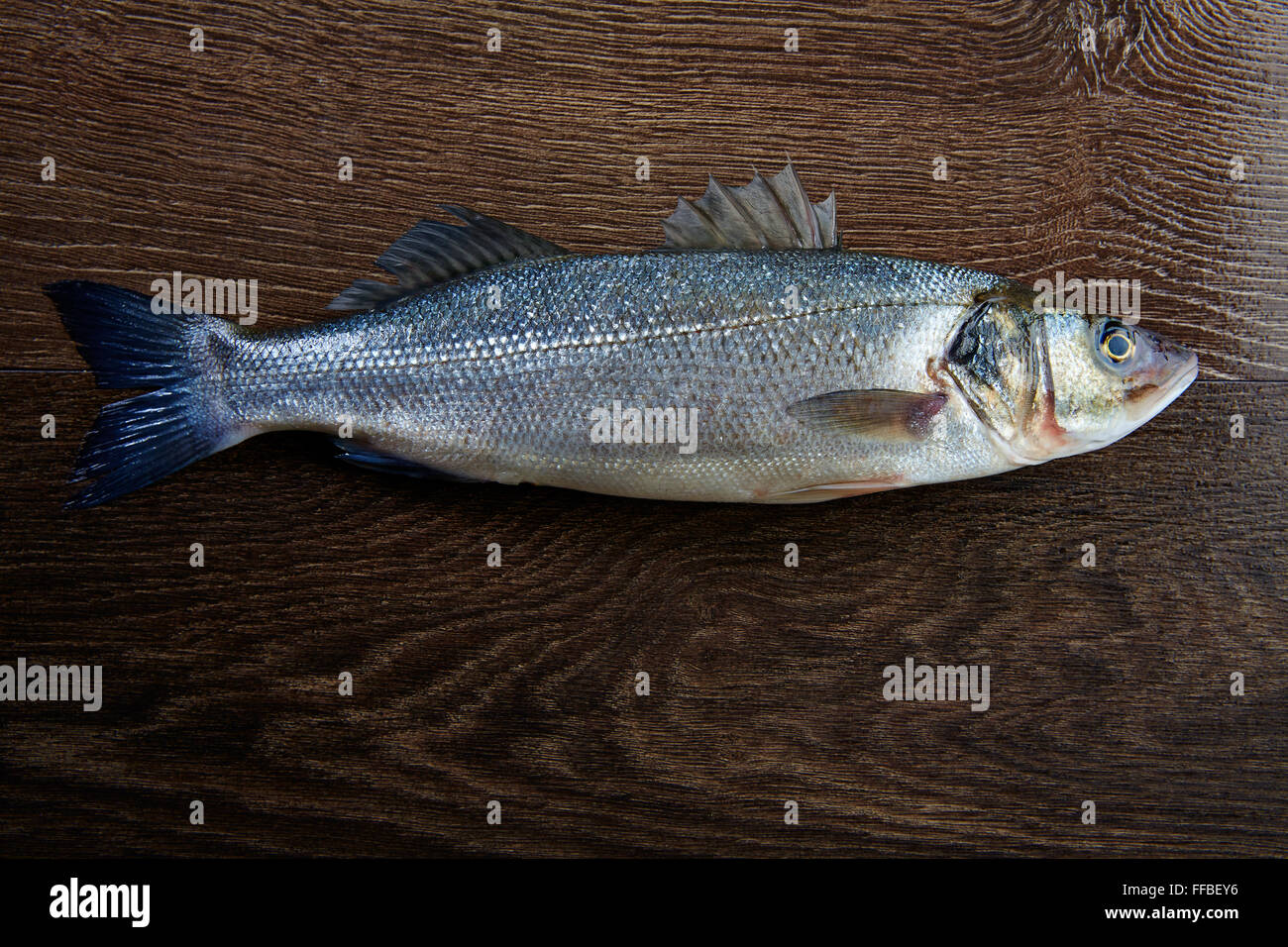Le loup de mer Le poisson frais sur un fond de bois foncé Banque D'Images