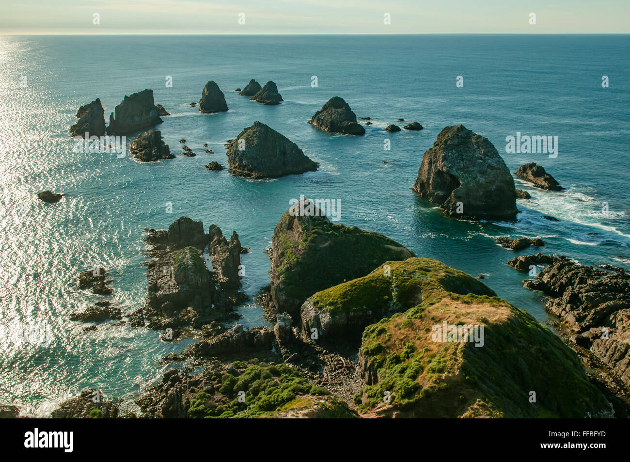 Nugget Point, le Sud, Catlins Otago, Nouvelle-Zélande Banque D'Images