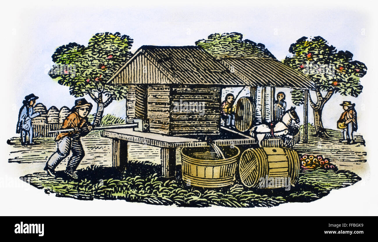 Cidrerie, 19e siècle. /NWood gravure, American, début du xixe siècle. Banque D'Images