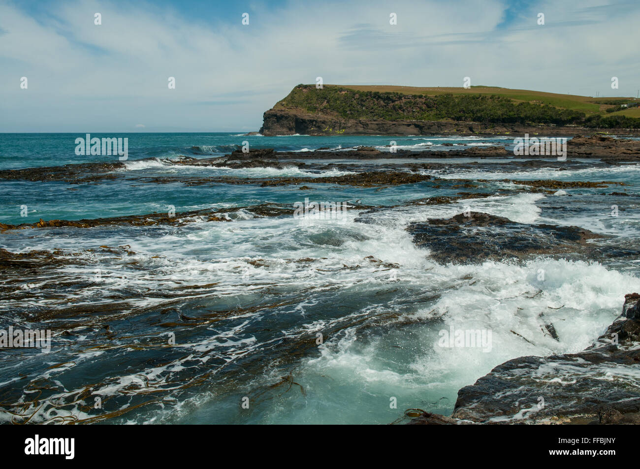 Curio Bay, le Sud, Catlins Otago, Nouvelle-Zélande Banque D'Images