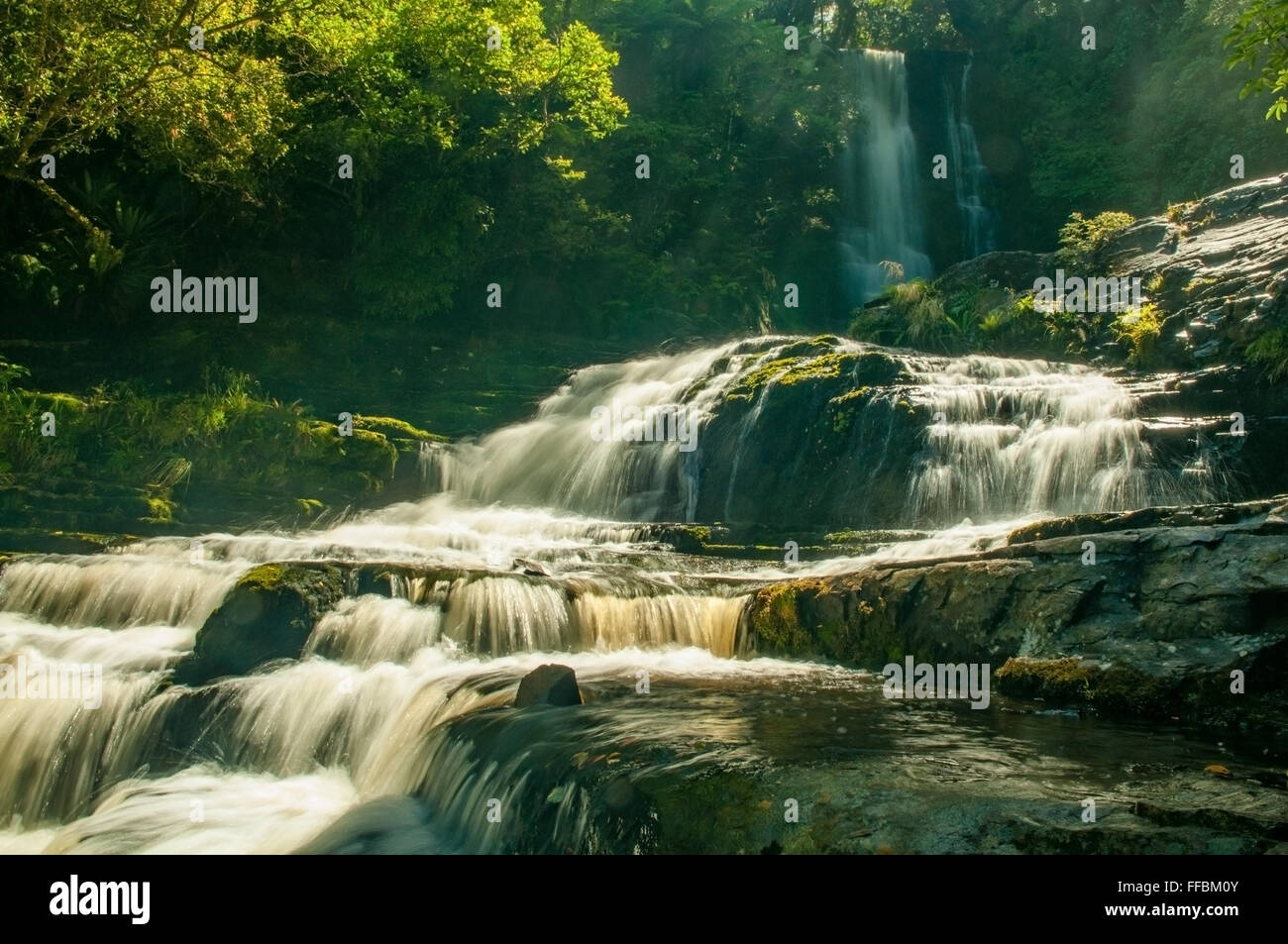 Purakaunui Falls, la Catlins, île du Sud, Nouvelle-Zélande Banque D'Images