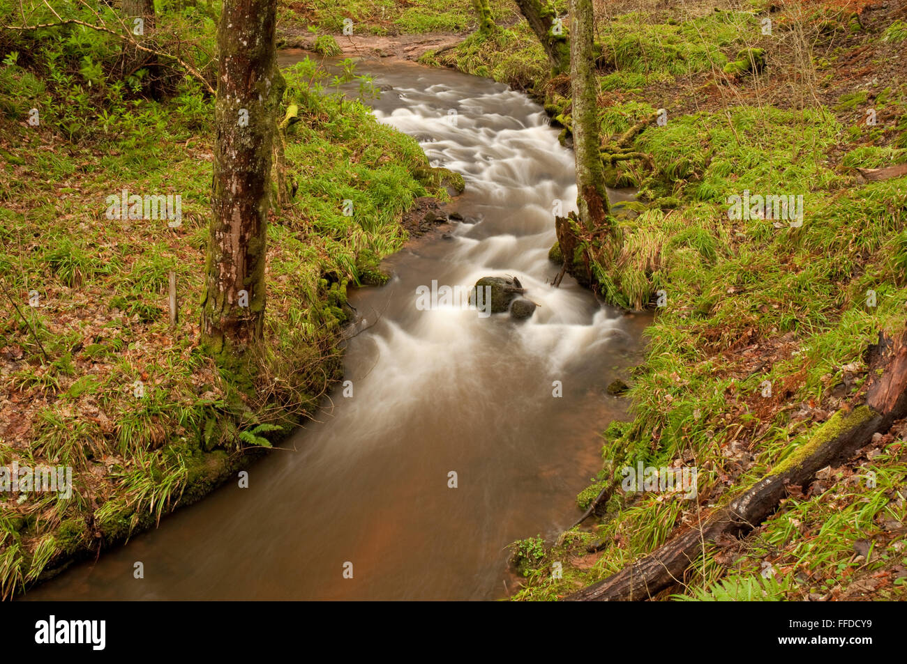 Le flux de Fairy Glen Banque D'Images