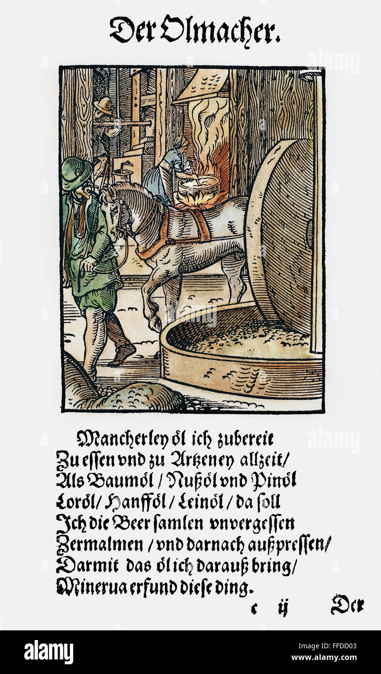 Presse à Huile, 1568. /NA cheval huile, utilisé pour extraire des huiles médicinales et comestibles à partir de graines et de légumes. Gravure sur bois, 1568, par Jost Amman. Banque D'Images