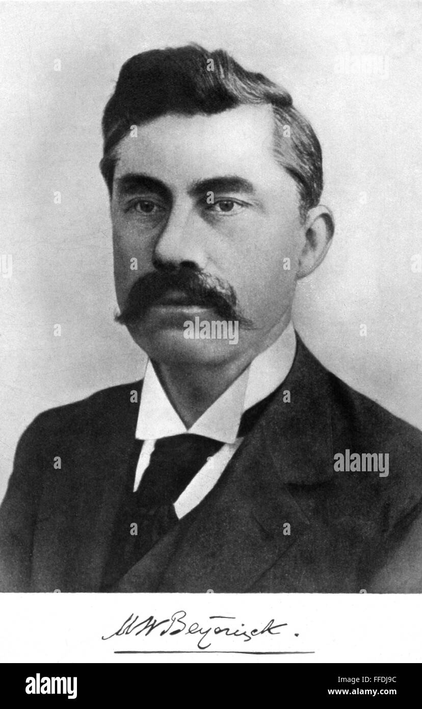 MARTINUS WILLEM BEIJERINCK /n(1851-1931). Microbiologiste et botaniste néerlandais. Photographie, c1896. Banque D'Images