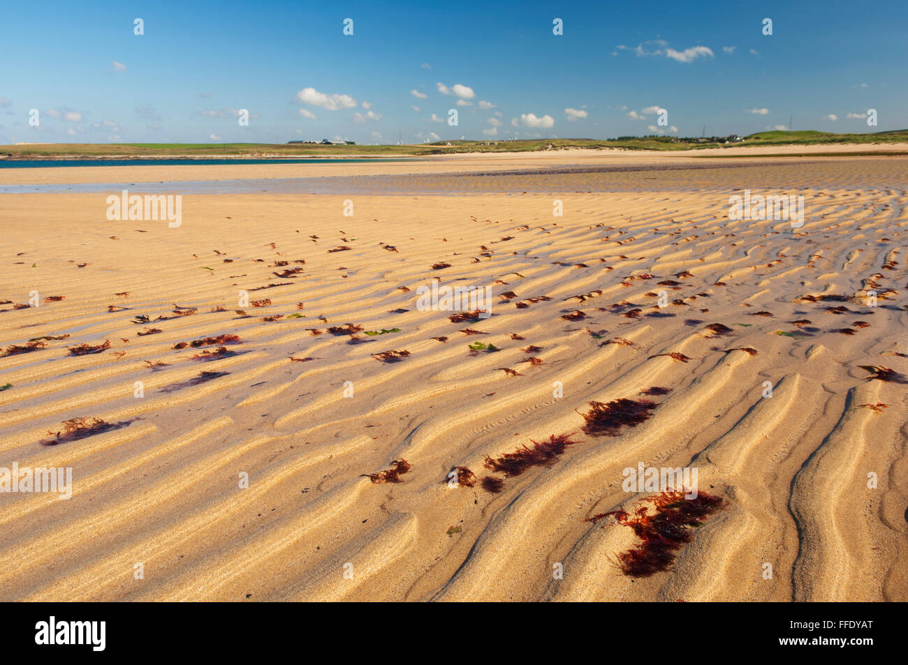 Sandside Bay, Caithness, en Écosse. Banque D'Images