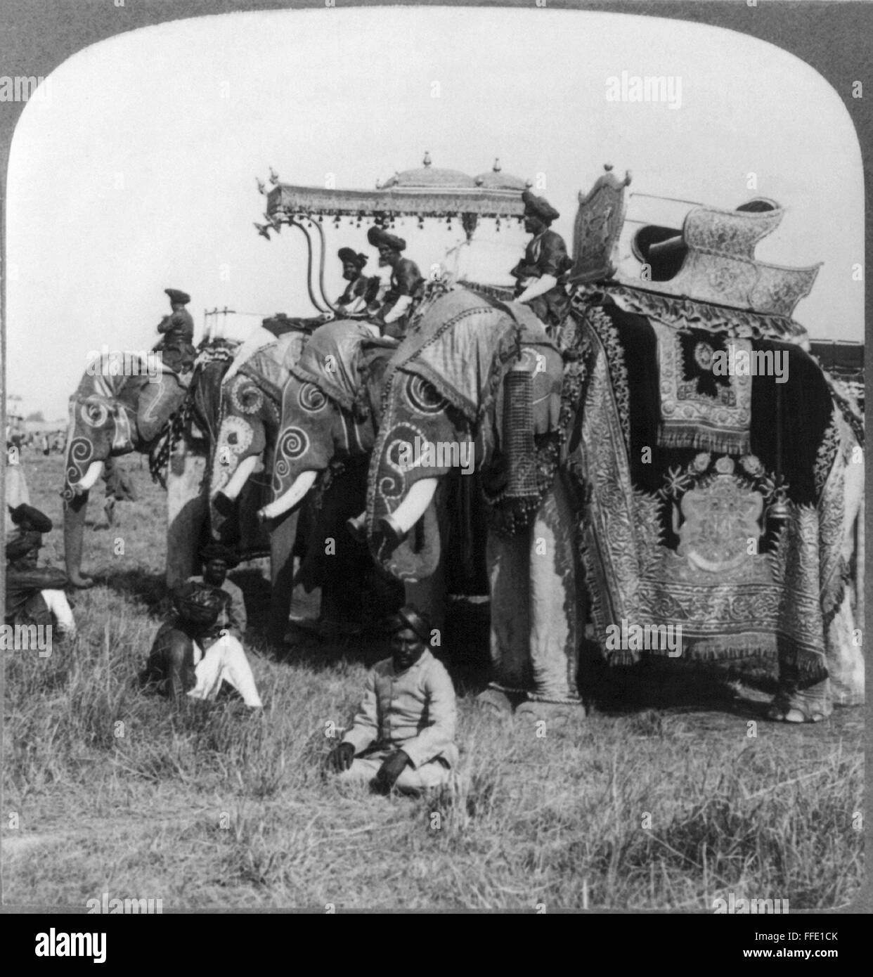 DELHI : éléphants./nDecorated les éléphants de l'état d'HH Maharaja Madhavrao Scindia II Scindia de Gwalior debout dans un champ, Durbar, Delhi, Inde. Stéréophotogramme, c1903. Banque D'Images