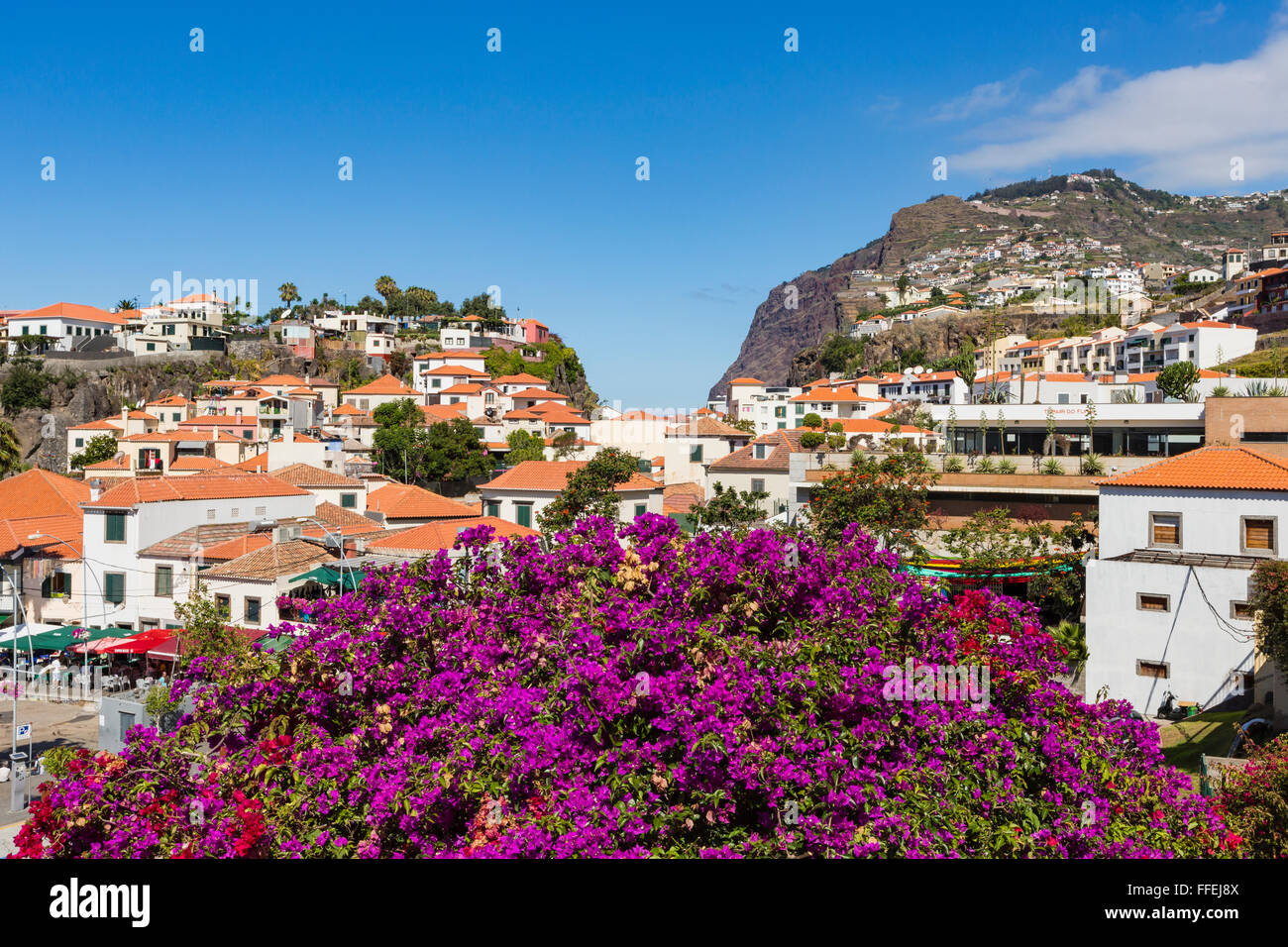 Camara de Lobos est une ville dans le centre-sud de la côte de Madère,  Portugal Photo Stock - Alamy