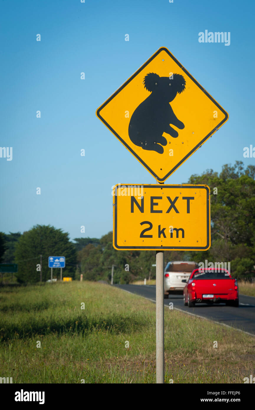 Un panneau d'avertissement de passage à niveau koala le long d'une route en milieu rural Victoria, Australie. Banque D'Images