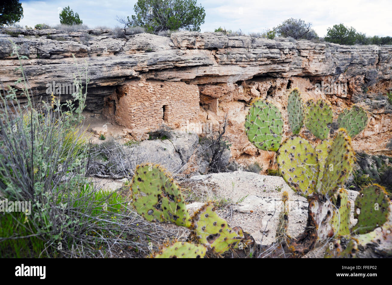 Cliff dwellings Montezuma Well est le foyer de la tribue Sinagua Indiens, qui est une oasis de calcaire naturel sinkhole avec ressorts. Banque D'Images