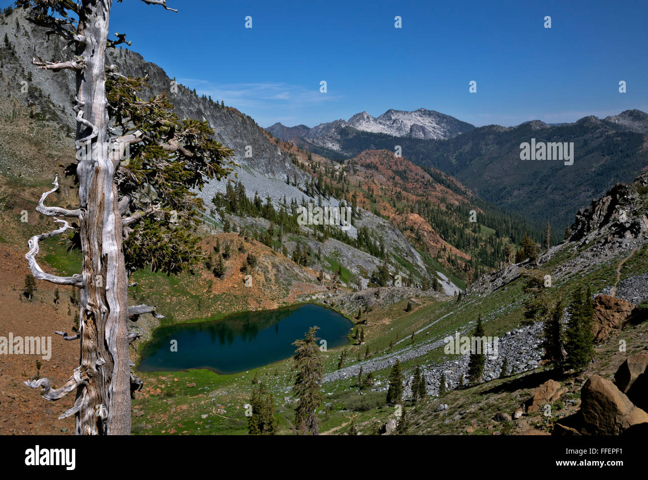 CA02822-00...CALIFORNIE - Deer Lake sur les quatre lacs en boucle Alpes Trinity Désert de la Forêt Nationale de Shasta-Trinity. Banque D'Images