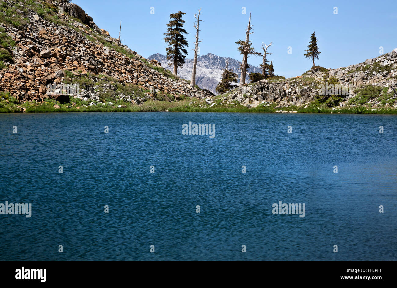 CA02825-00...CALIFORNIE - Deer Lake sur les quatre lacs boucle dans la réserve intégrale, Alpes Trinity Shasta-Trinity National Forest. Banque D'Images