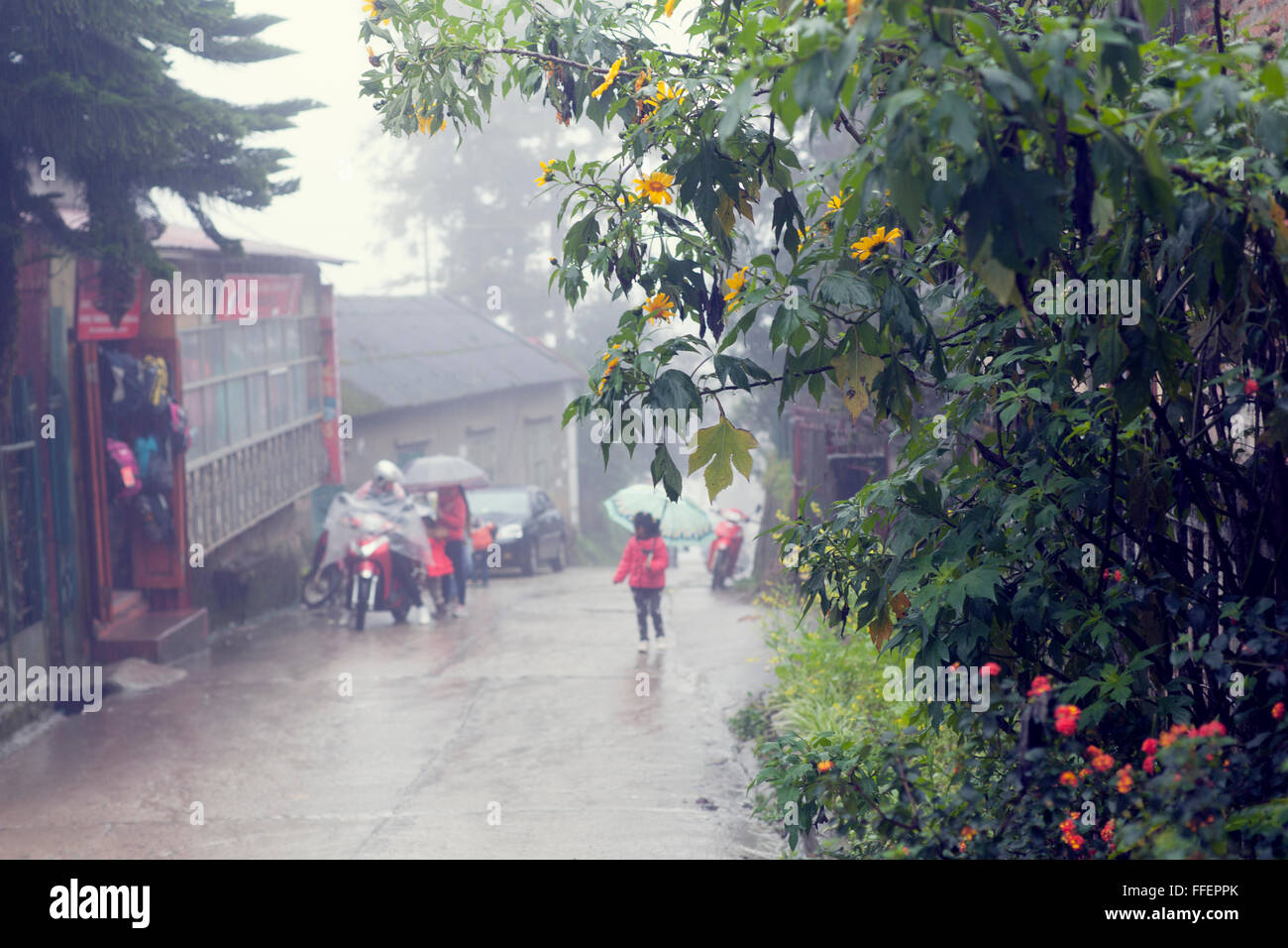 Jour brumeux dans SAPA, Vietnam. Banque D'Images