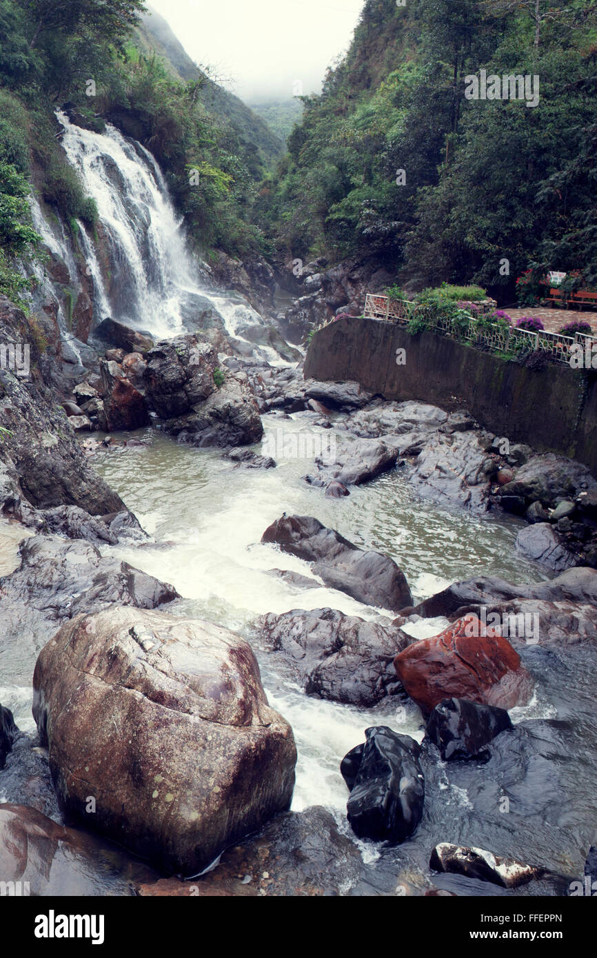 Cascade dans SAPA, Vietnam. Banque D'Images