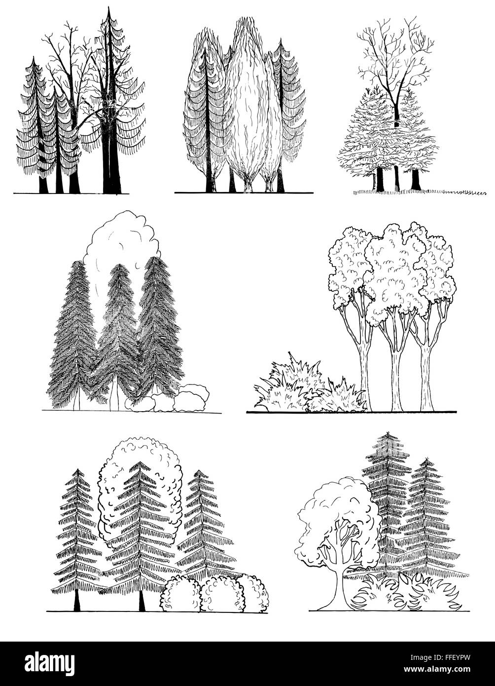Un ensemble de silhouettes d'arbres , pour l'architecture ou la conception de paysage Illustration de Vecteur