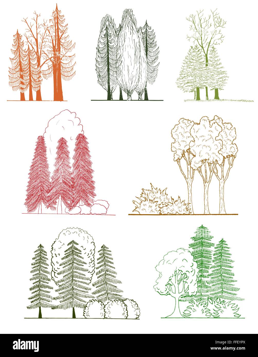 Un ensemble de silhouettes d'arbres , pour l'architecture ou la conception de paysage Illustration de Vecteur