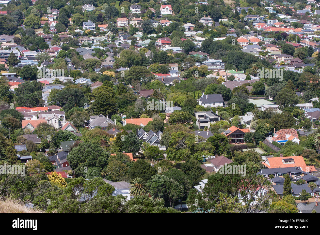 Logement bungalow de banlieue d'Auckland hébergement en résidence vue depuis le mont Eden, North Island, New Zealand. Banque D'Images