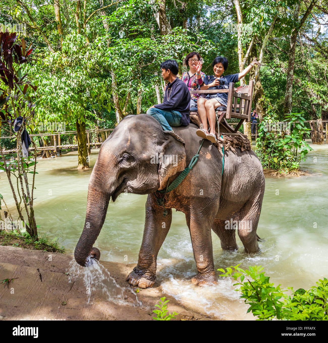 Laos, Luang Prabang Province, touristique repose sur un elepant Lao de l'elephant village sanctuaire à Tat Cascades Sae Banque D'Images
