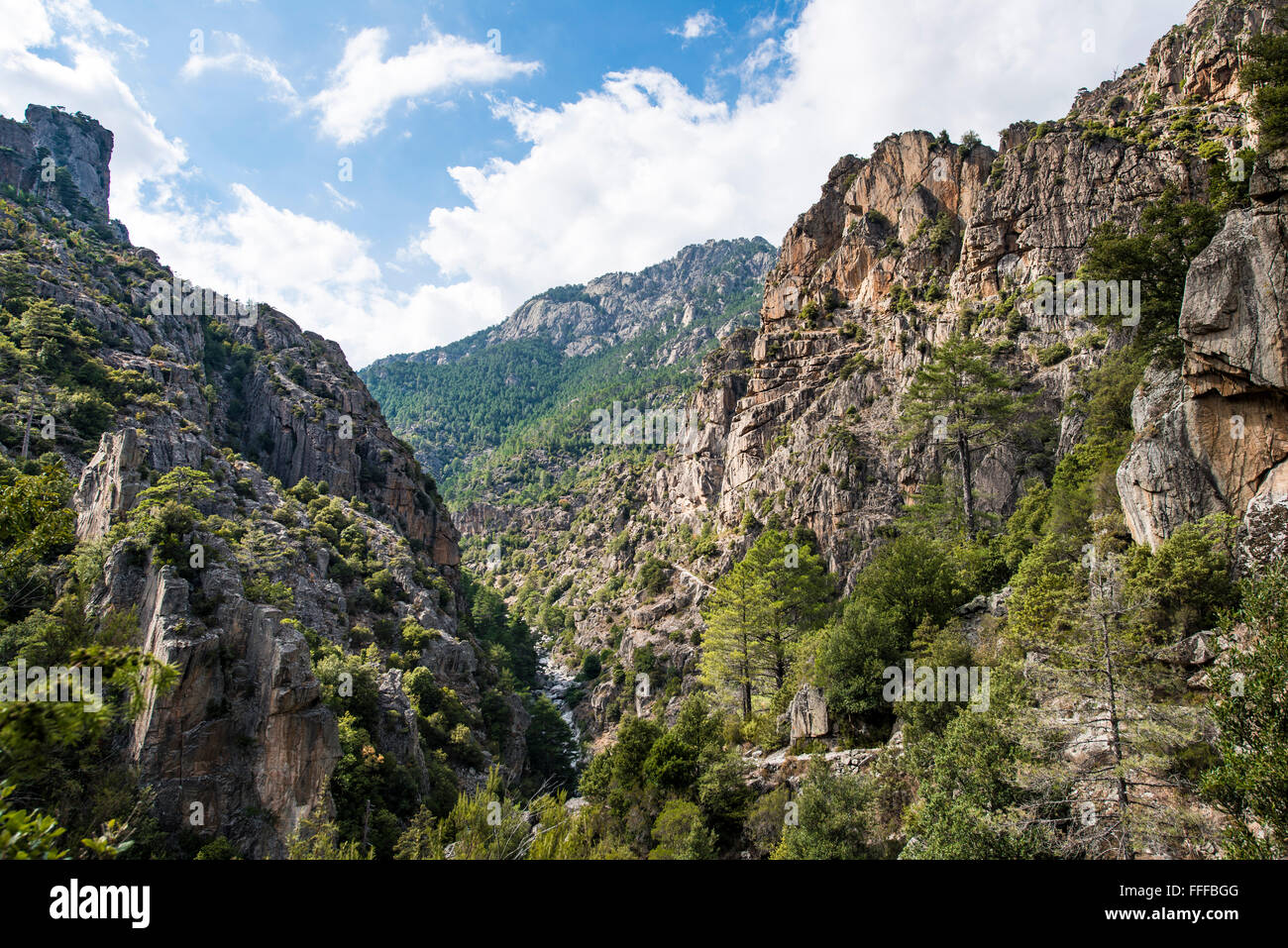 La vallée du fleuve Tavignano, paysage rocheux, Corte, Haute-Corse, Corse, France Banque D'Images