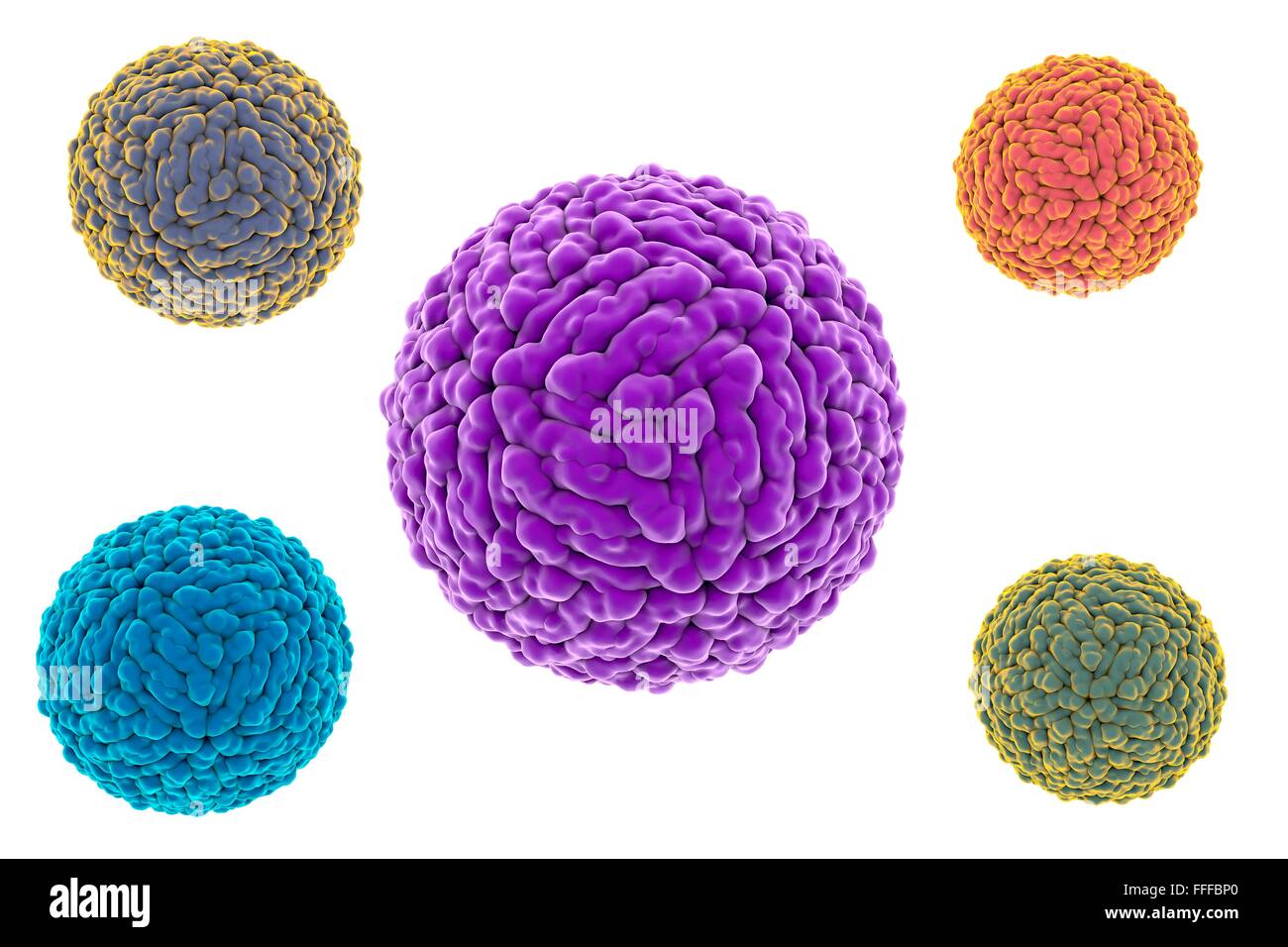 Zika virus, illustration de l'ordinateur. Il s'agit d'un acide ribonucléique (ARN) du virus de la famille des Flaviviridae. Il est transmis à Banque D'Images