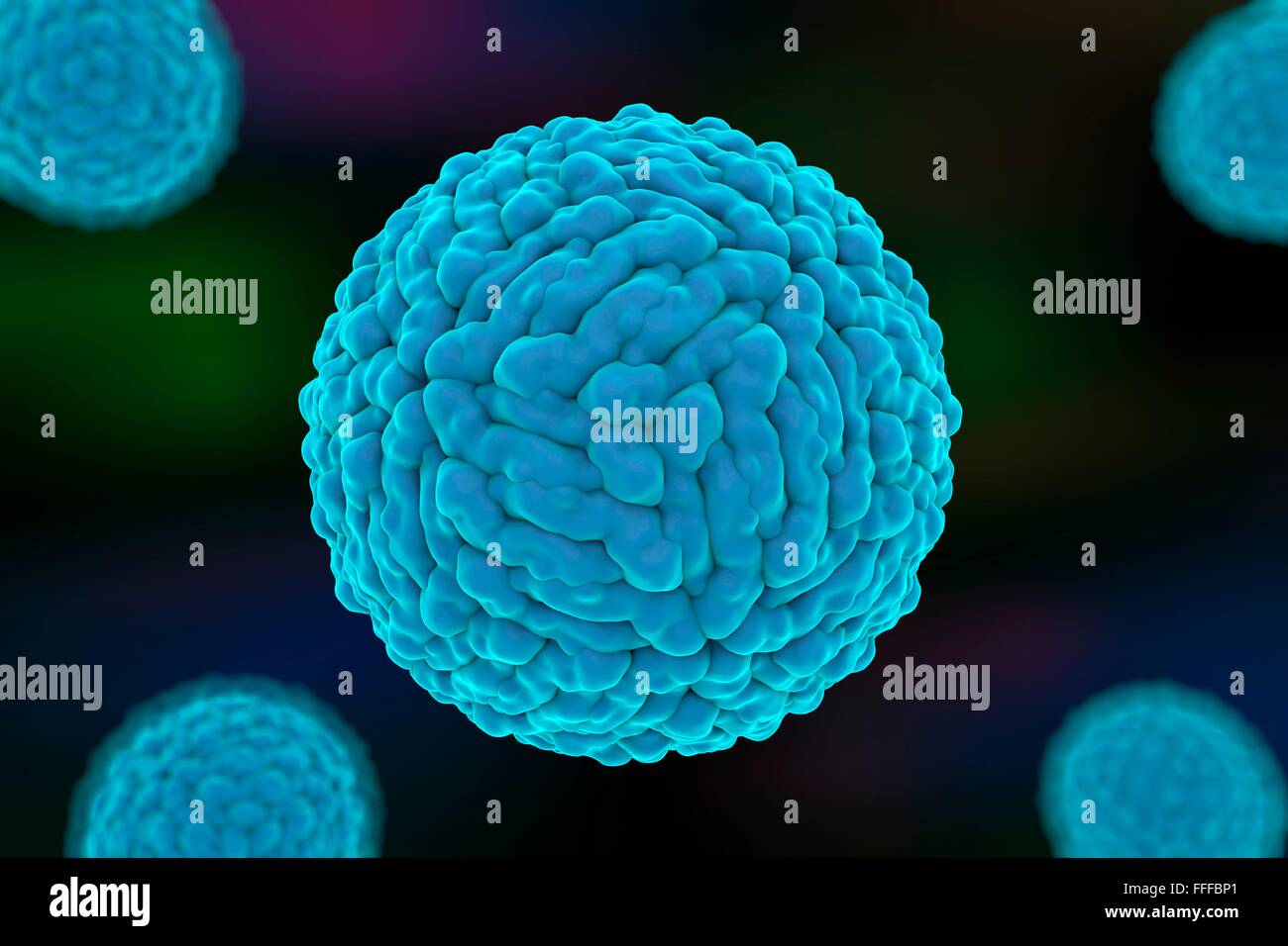 Zika virus, illustration de l'ordinateur. Il s'agit d'un acide ribonucléique (ARN) du virus de la famille des Flaviviridae. Il est transmis à Banque D'Images