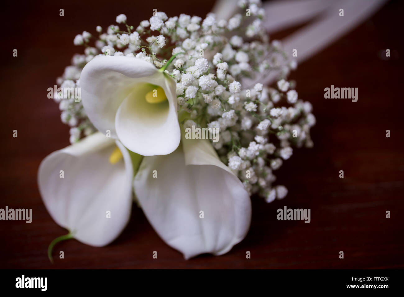 Bouquet de fleurs de lis calla blanc Banque D'Images