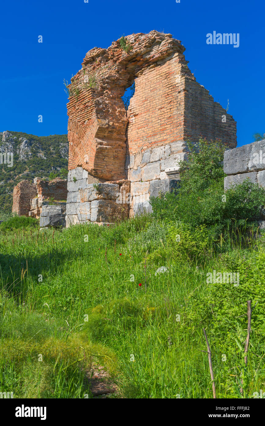 Ruines de l'ancienne Ephèse, Selcuk, Izmir, Turquie Province Banque D'Images