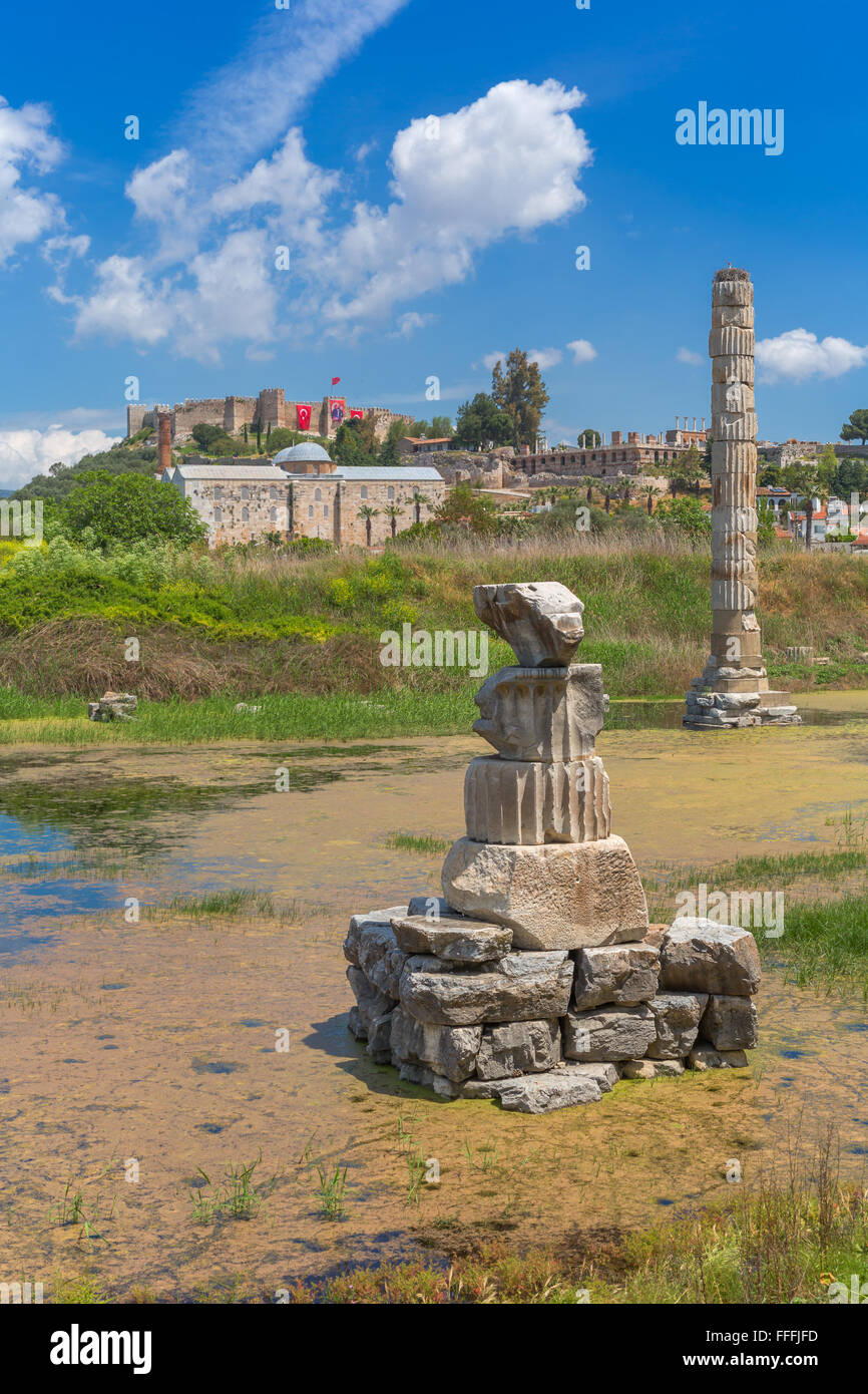 Ruines du temple d'Artémis, Ephèse, Selcuk, Izmir, Turquie Province Banque D'Images