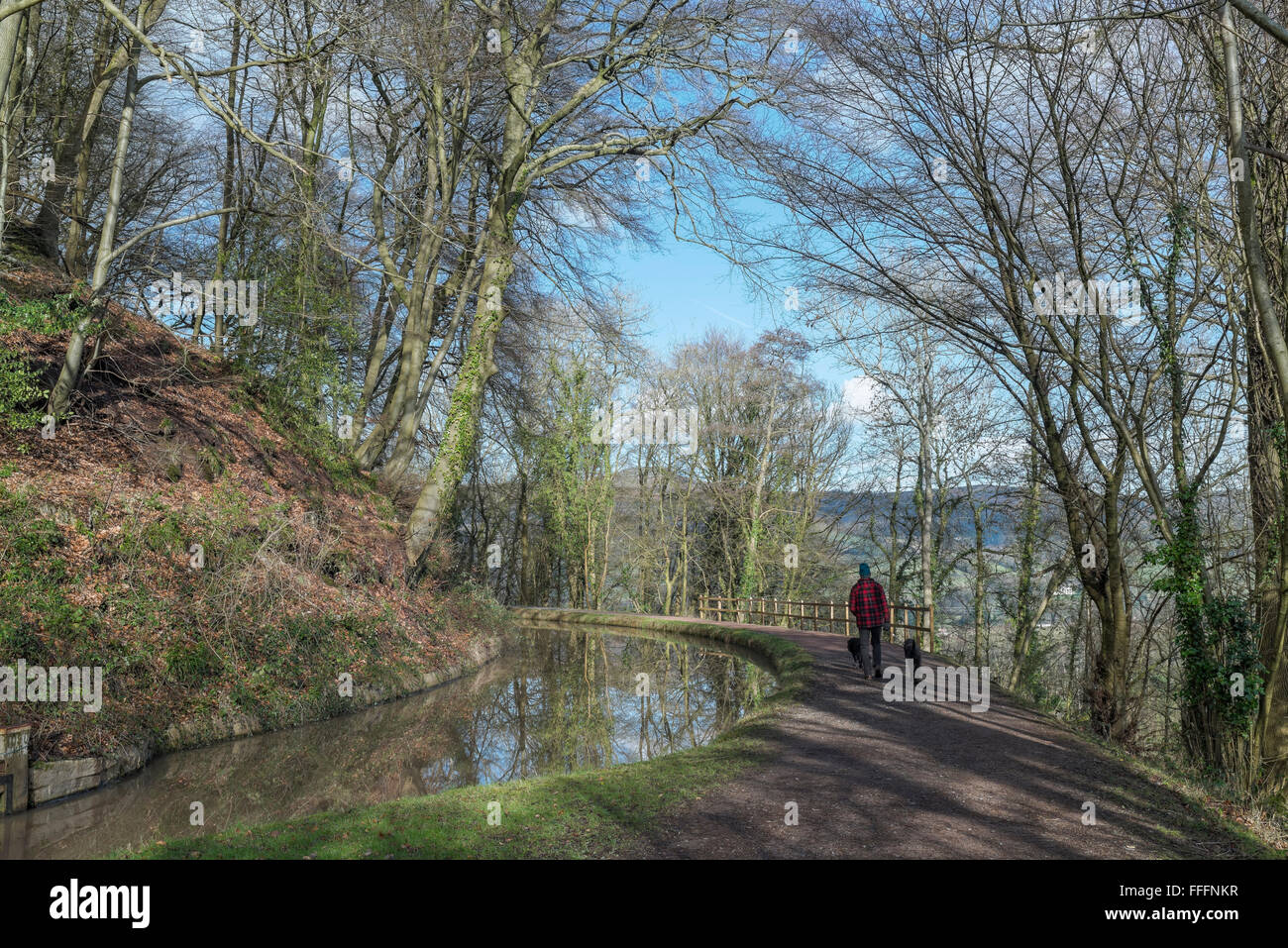 Un homme qui marche le long de ses chiens, le chemin de halage du Monmouthshire et Brecon Canal. Banque D'Images